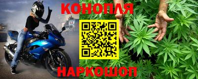 прущий лед Будённовск