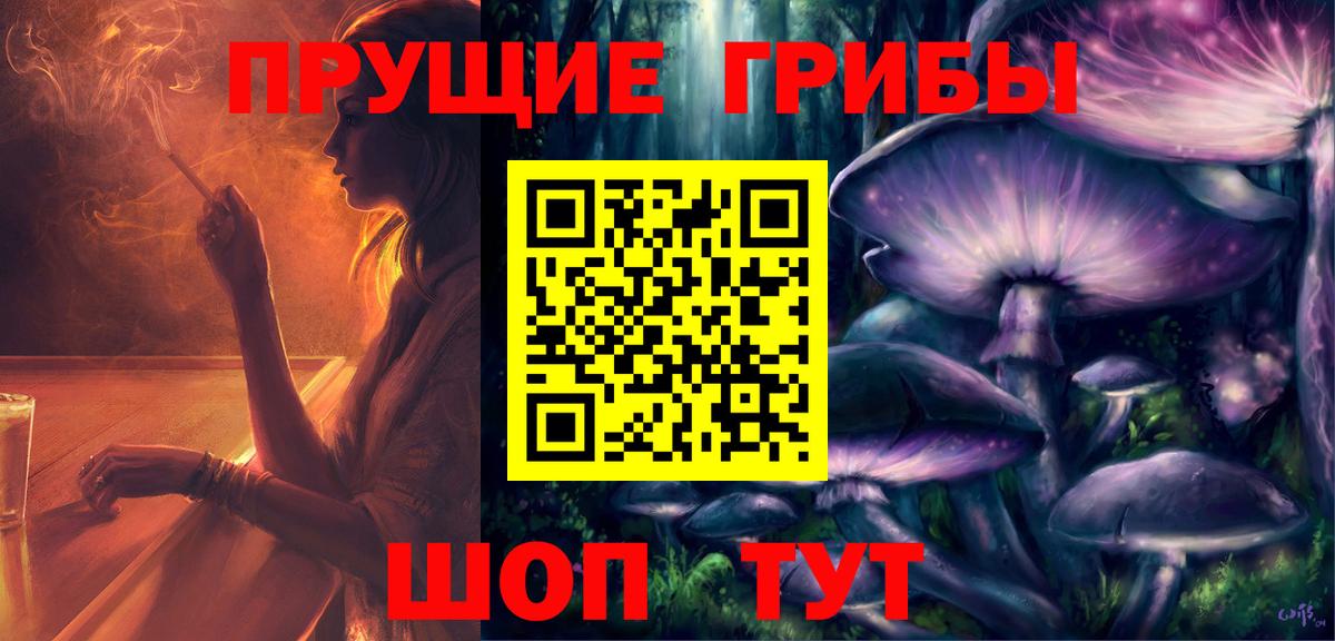 Галлюциногенные грибы Psilocybe Нерюнгри