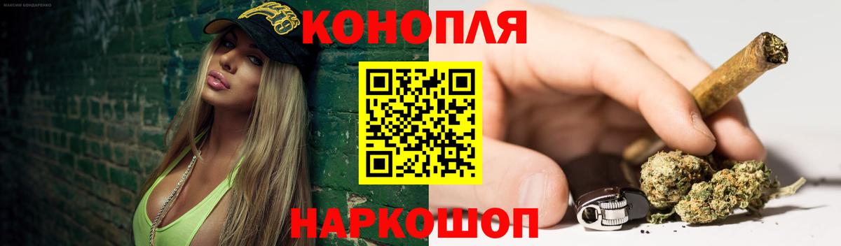 Шишки марихуана план  Вход с VPN  Нерюнгри  Шишки марихуана White Widow  Бошки Шишки Bruce Banner 